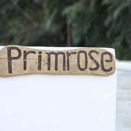 Primrose Apartments Astypalaia Bagian luar foto